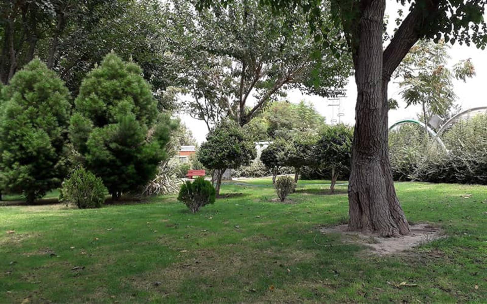 درختان سرسبز بوستان ولایت