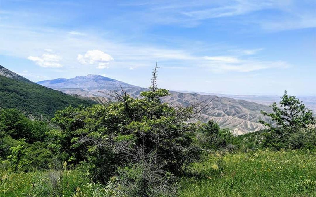 پارک ملی گلستان