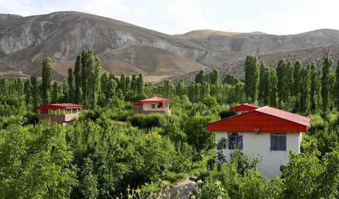 ویلاهای کردان میان درختان سرسبز
