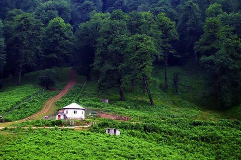 کلبه جنگلی در زیباترین جنگل های شمال ایران