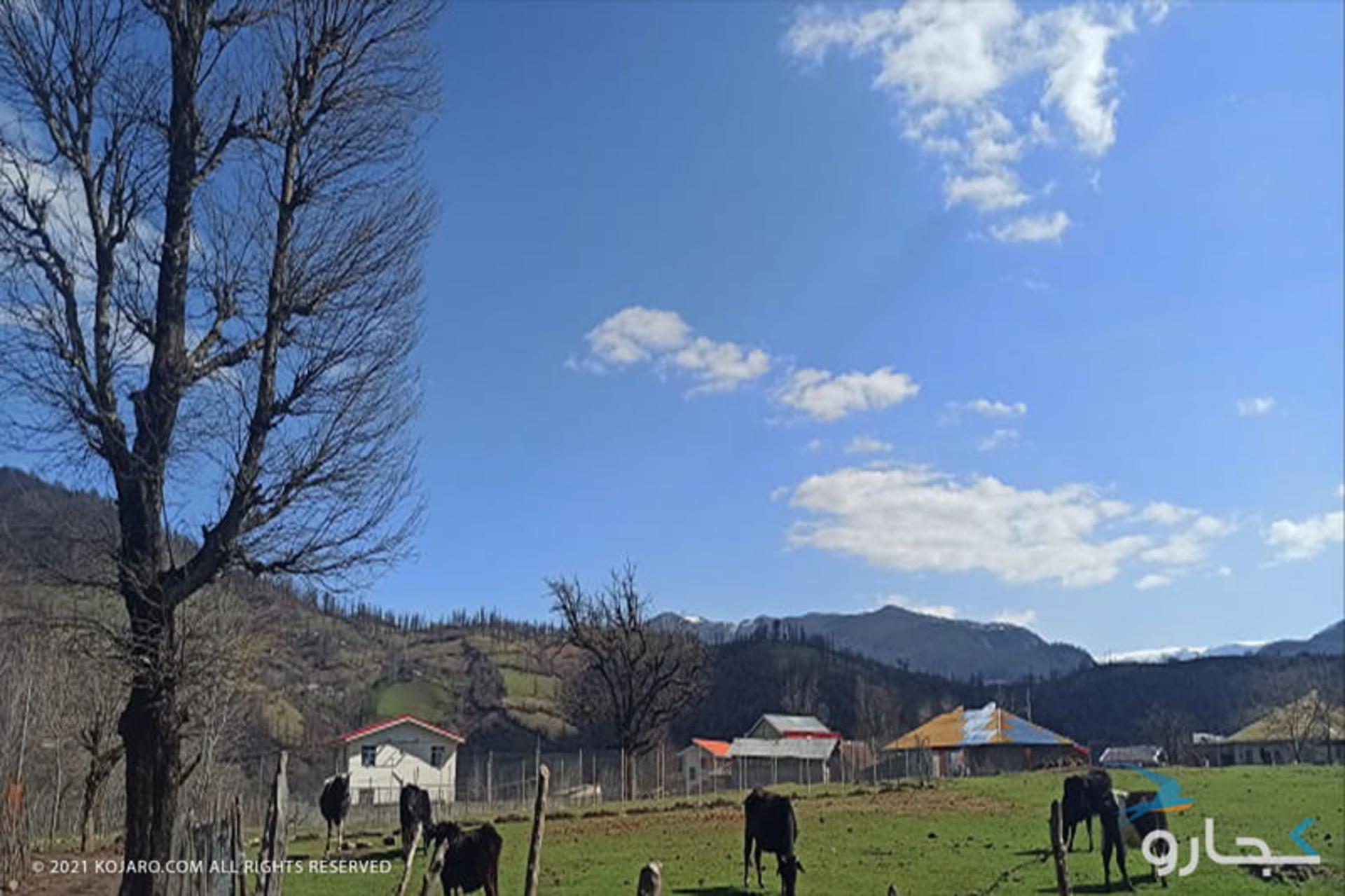 روستای استخرگاه رودبار
