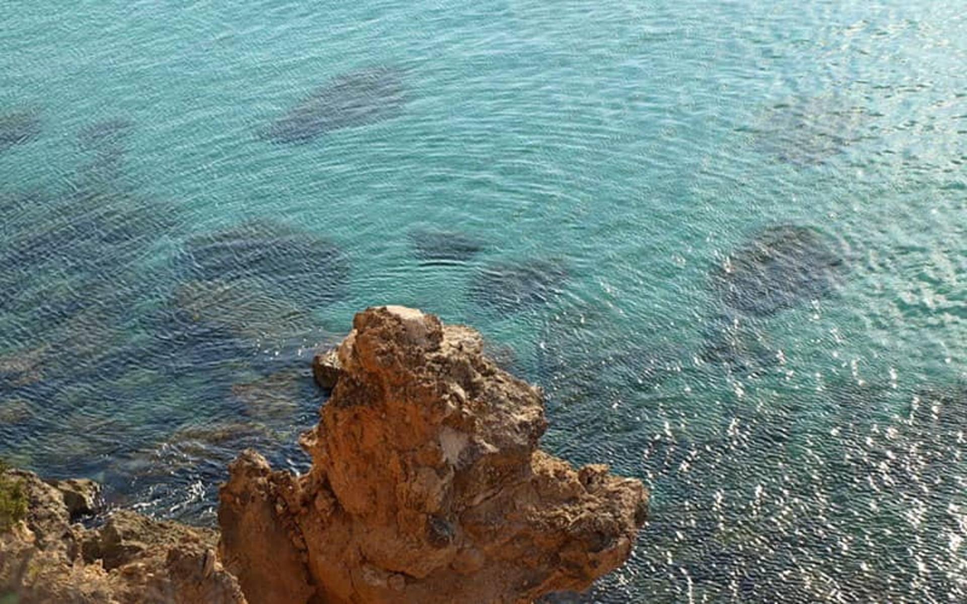 ایبیزا