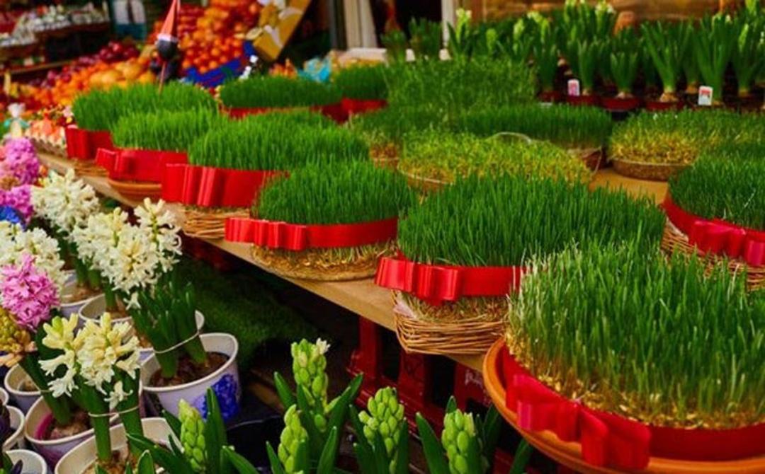 سبزه های عید و گلدان های سنبل در بازار