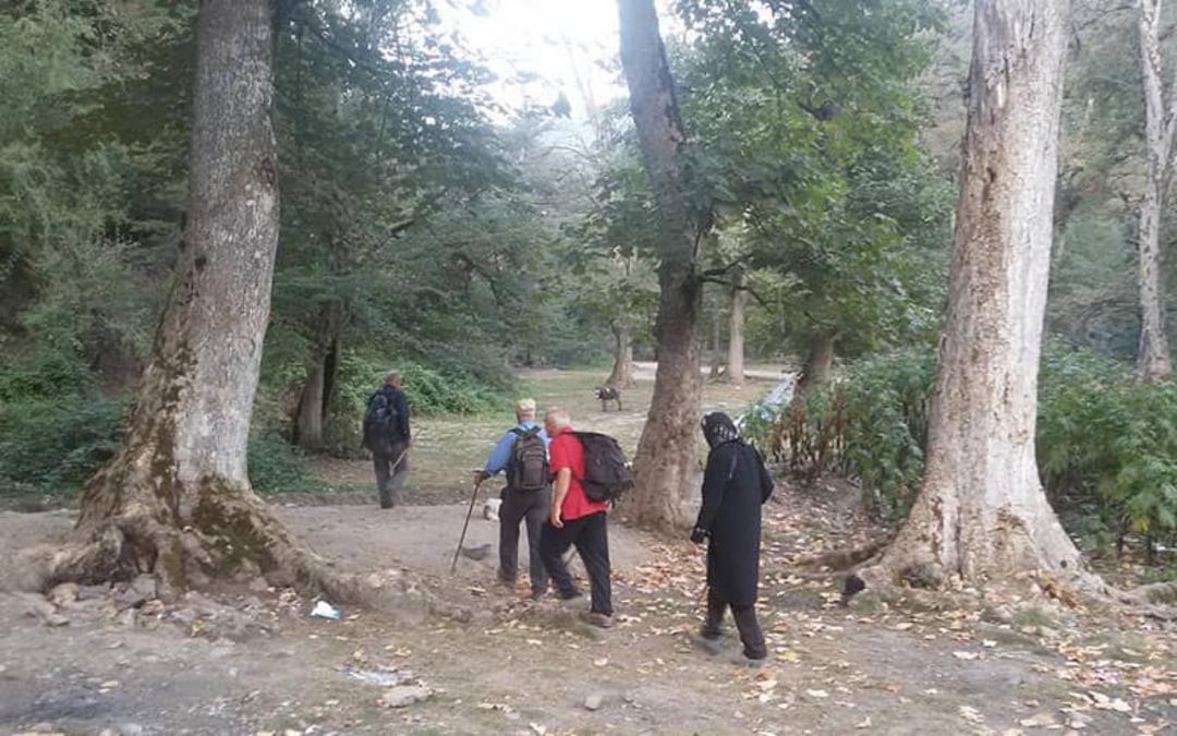 جنگل توسکستان