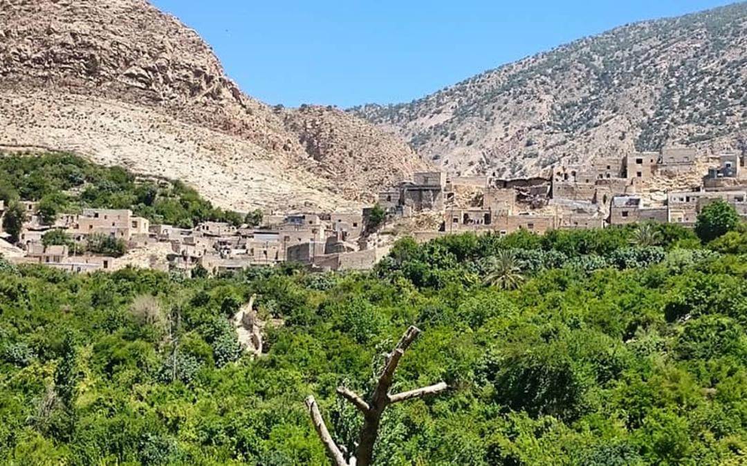 خانه های روستایی در منطقه ای سرسبز