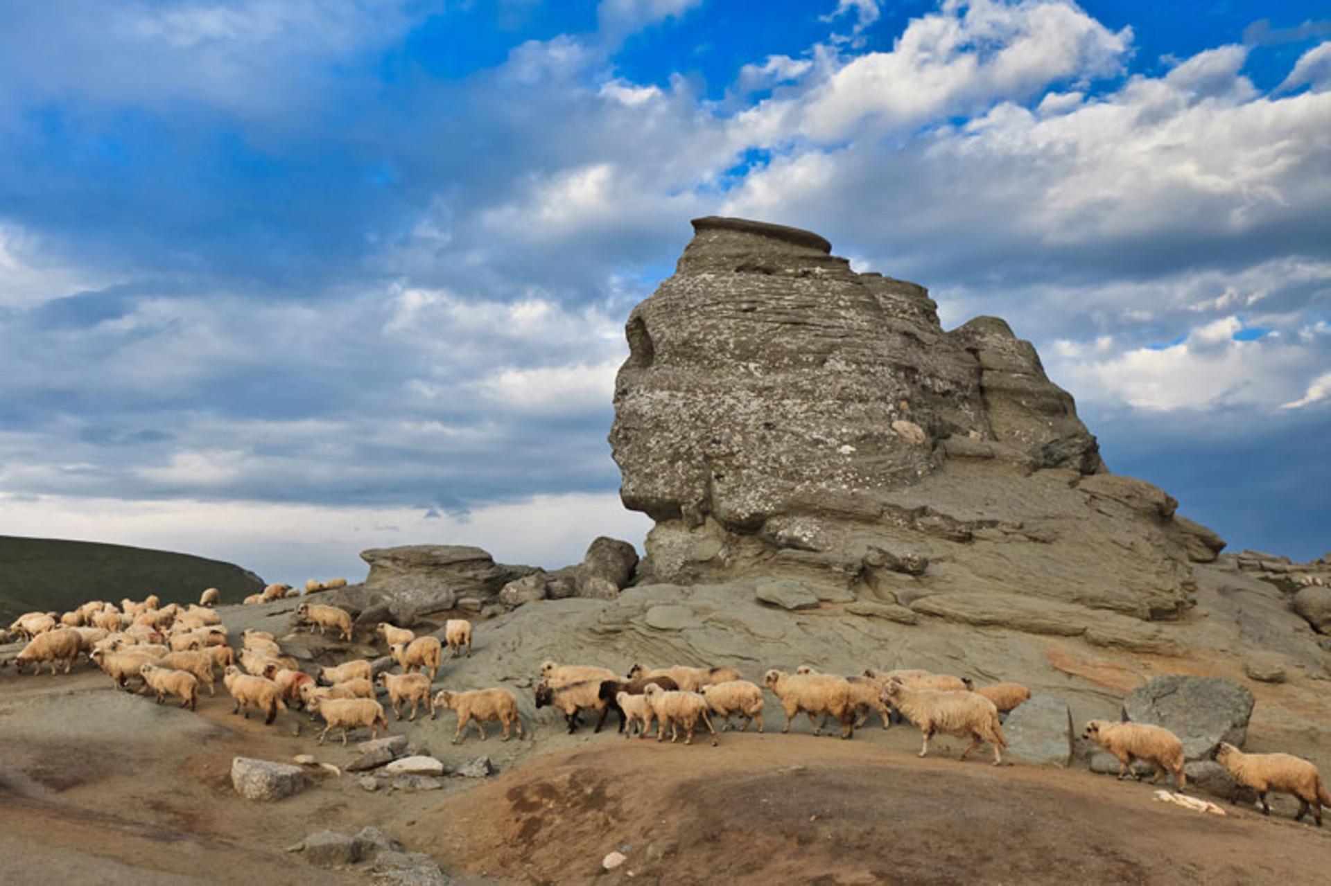 طبیعت بوسگی در رومانی