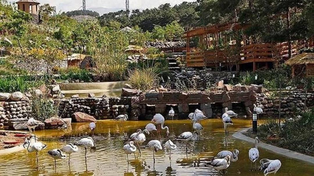 باغ پرندگان مشهد