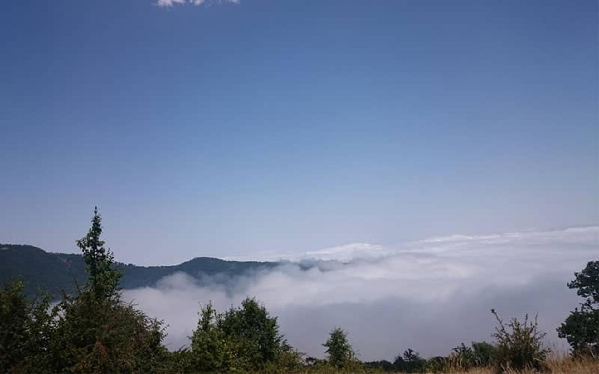 جنگل توسکستان