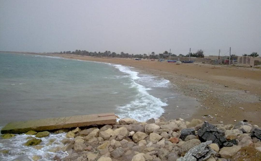 سواحل دلوار
