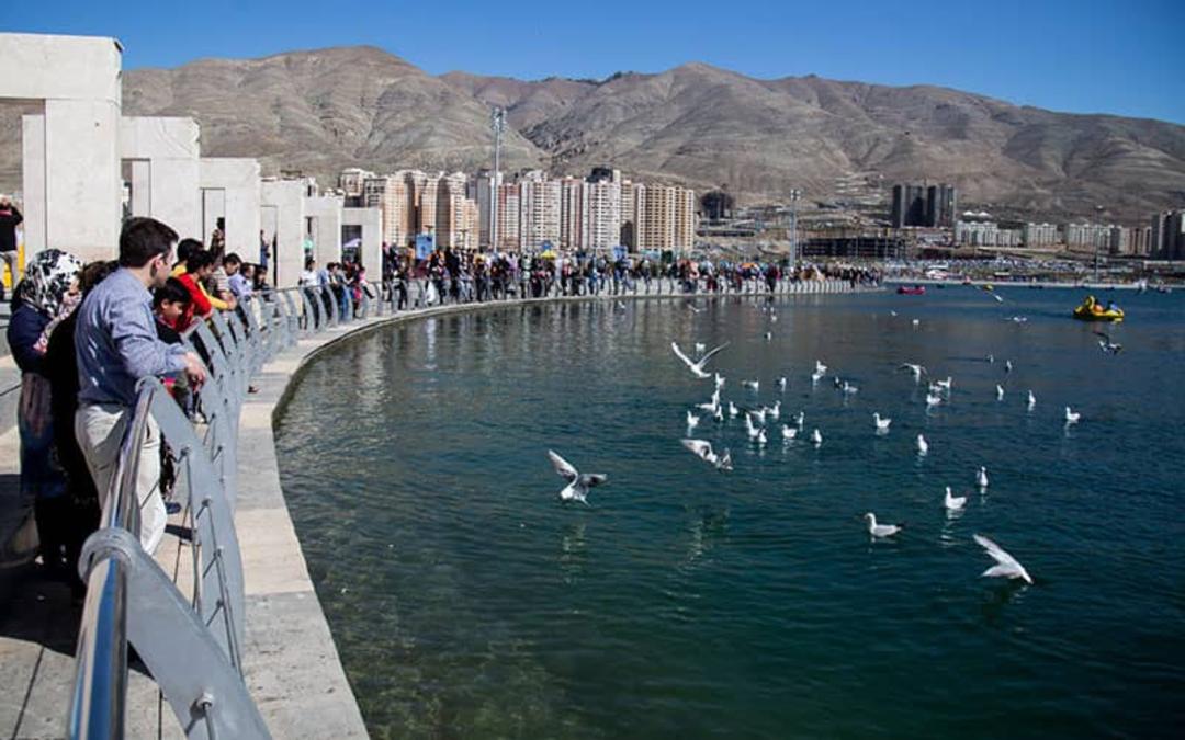 گردشگران در حال تماشای پرندگان دریاچه چیتگر