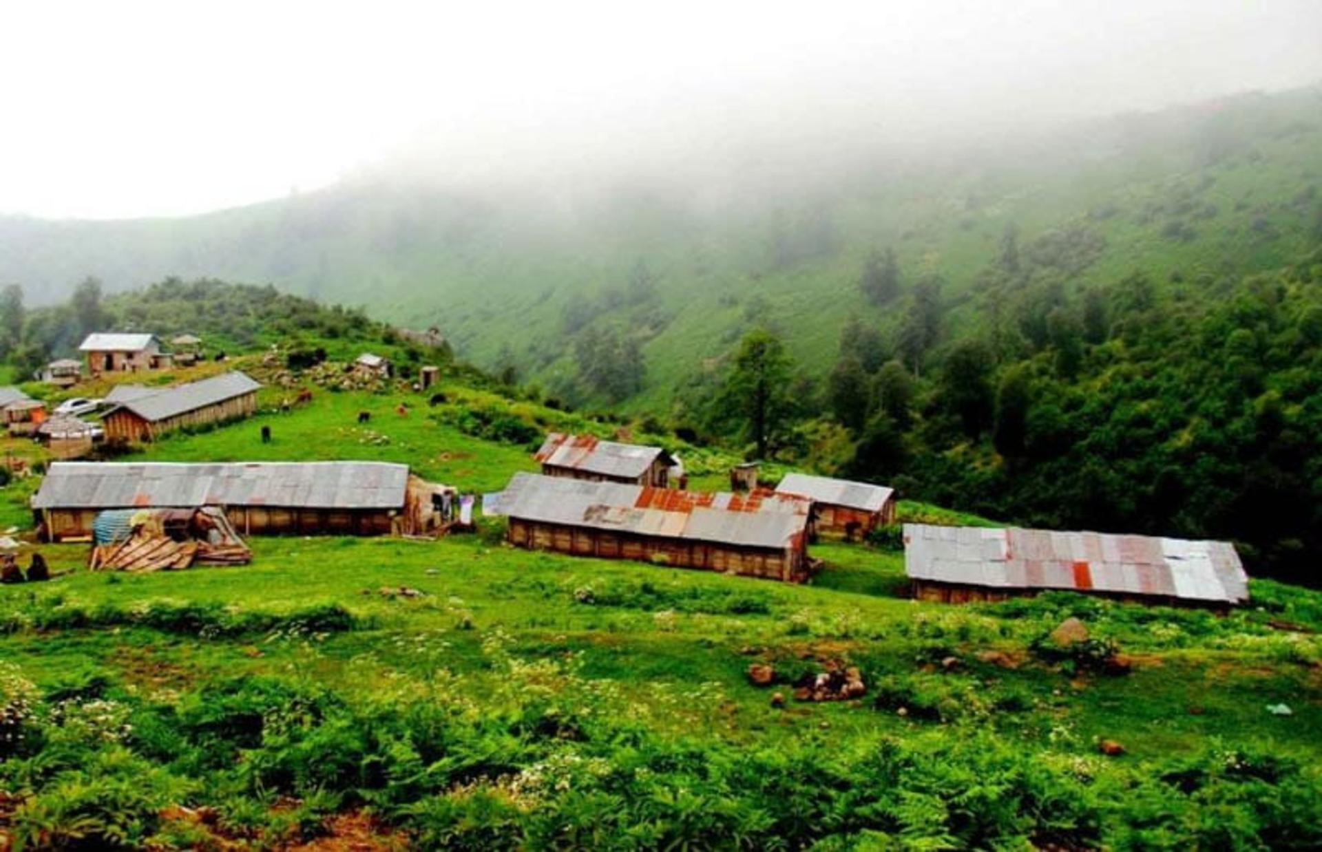 خانه های ییلاقی در روستای لاویج پوشیده از مه