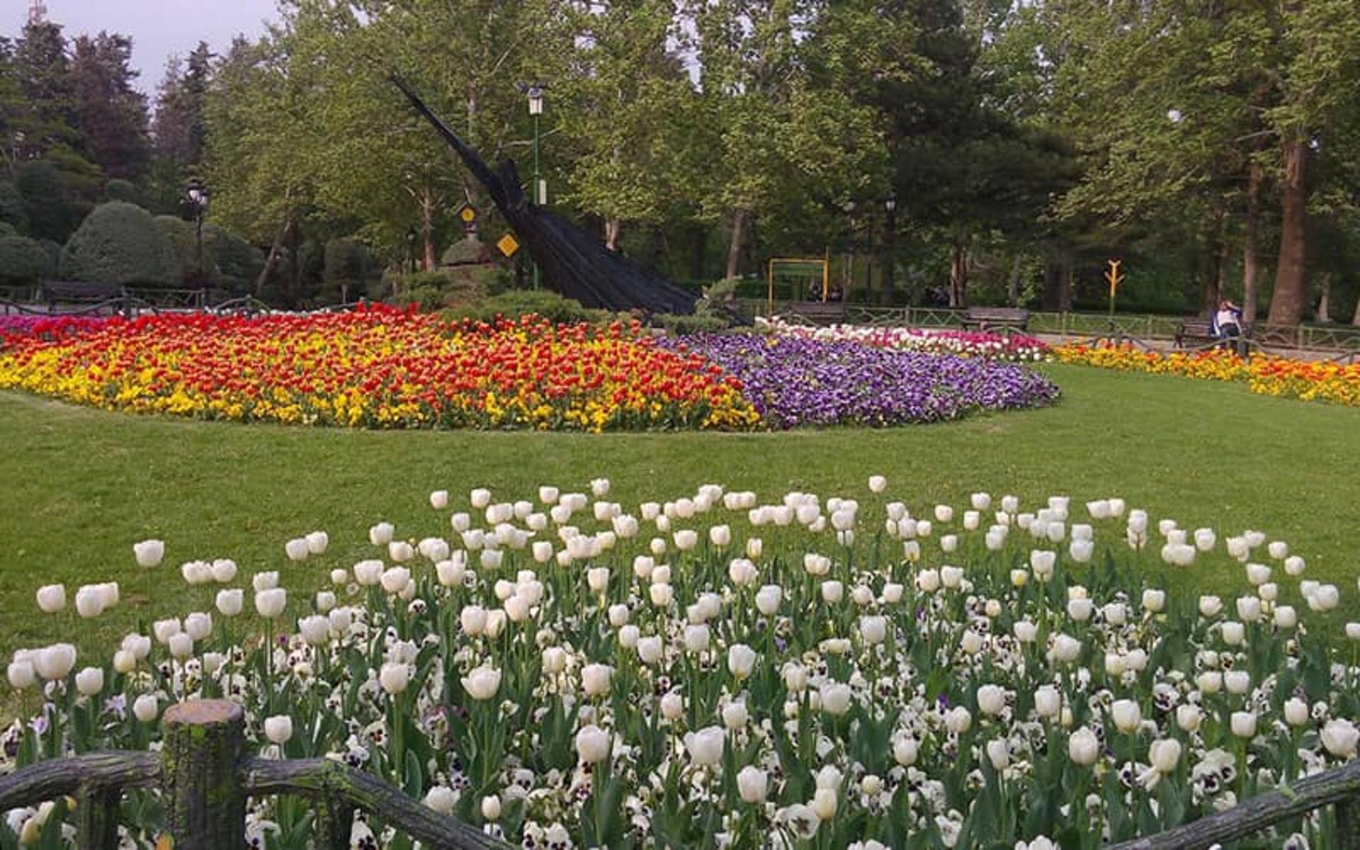 گل های رنگارنگ در پارک ملت تهران