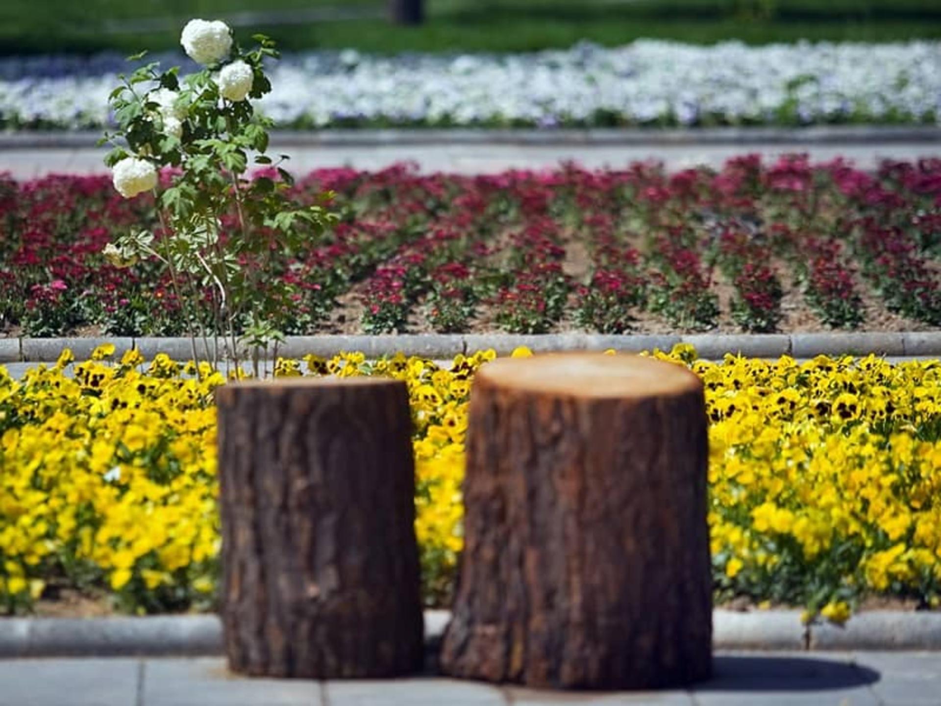 باغ گل گرمانشاه