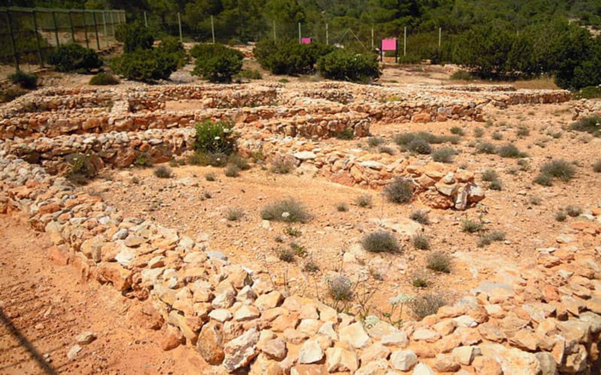 ایبیزا
