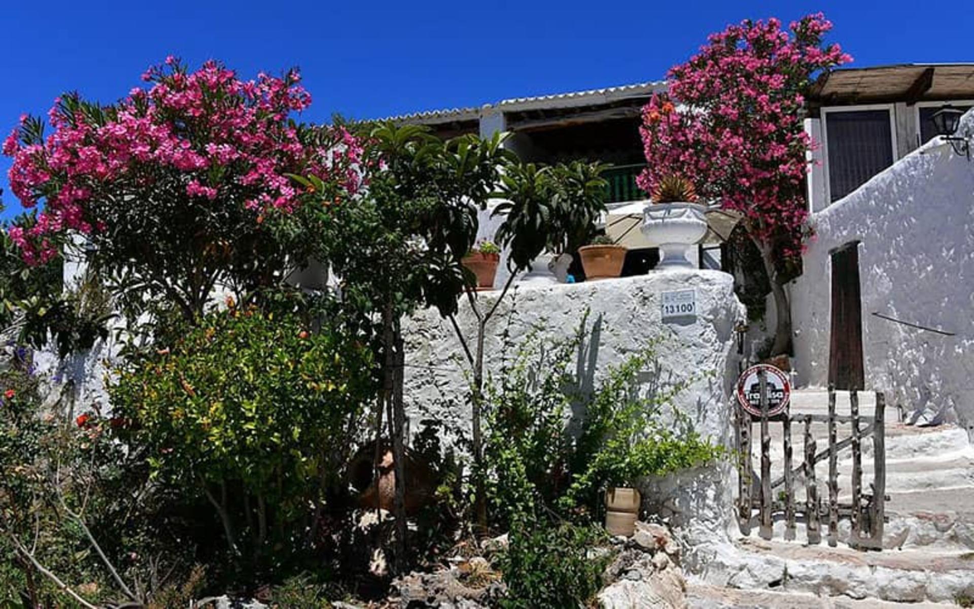 ایبیزا