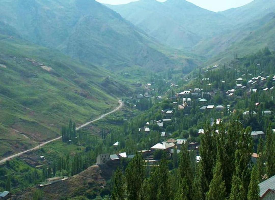 انبوه درختان در دره فشم