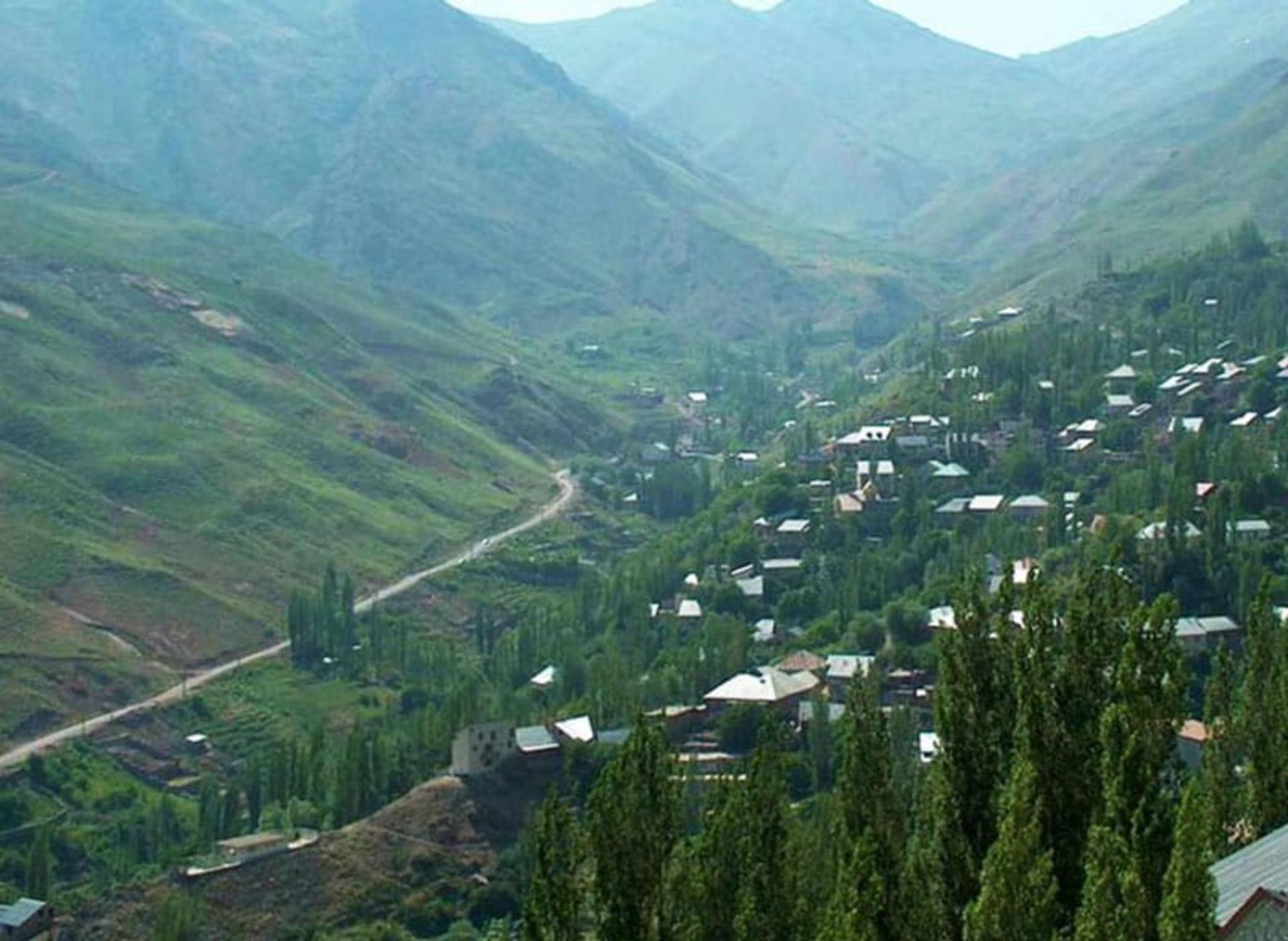 انبوه درختان در دره فشم