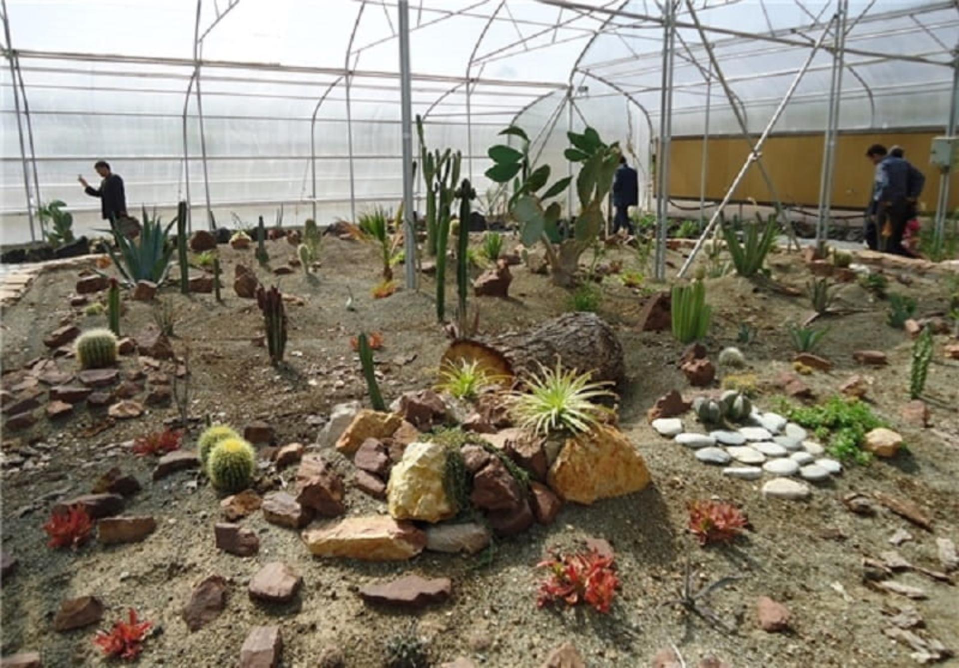 باغ گل گرمانشاه