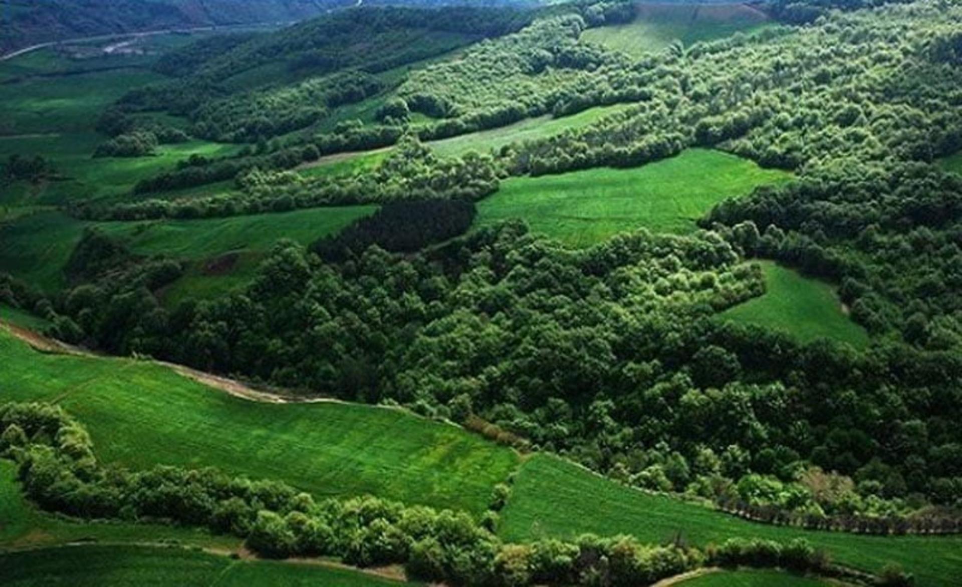 جنگل های سرسبز فتاتو در گیلان از نمای بالا