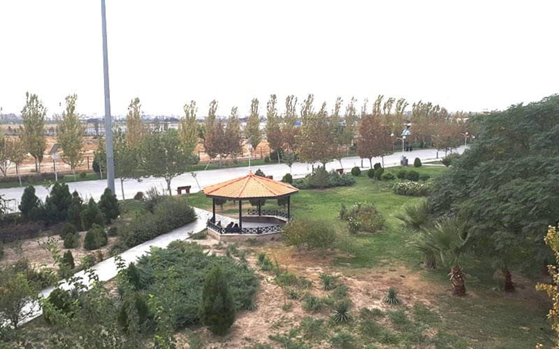 فضای سبز وسیعی با آلاچیق