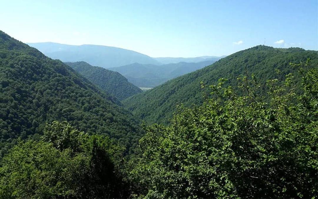 پارک ملی گلستان
