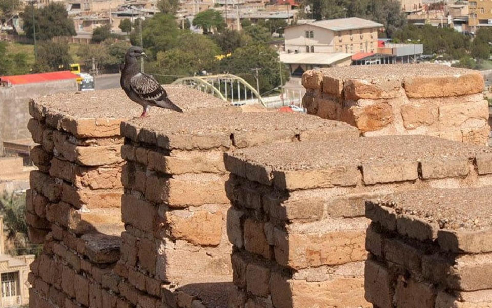 برجهای قلعه شوش
