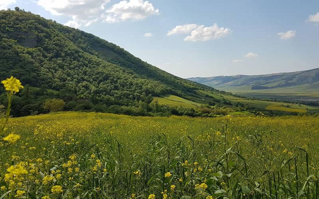 پارک ملی گلستان