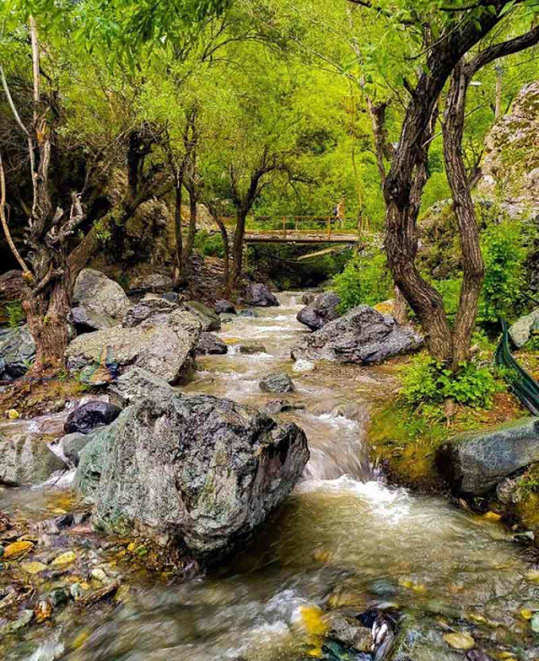 رودخانه درکه میان درختان و دره سرسبز