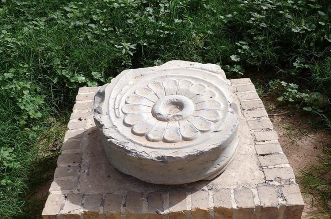 تاریخ