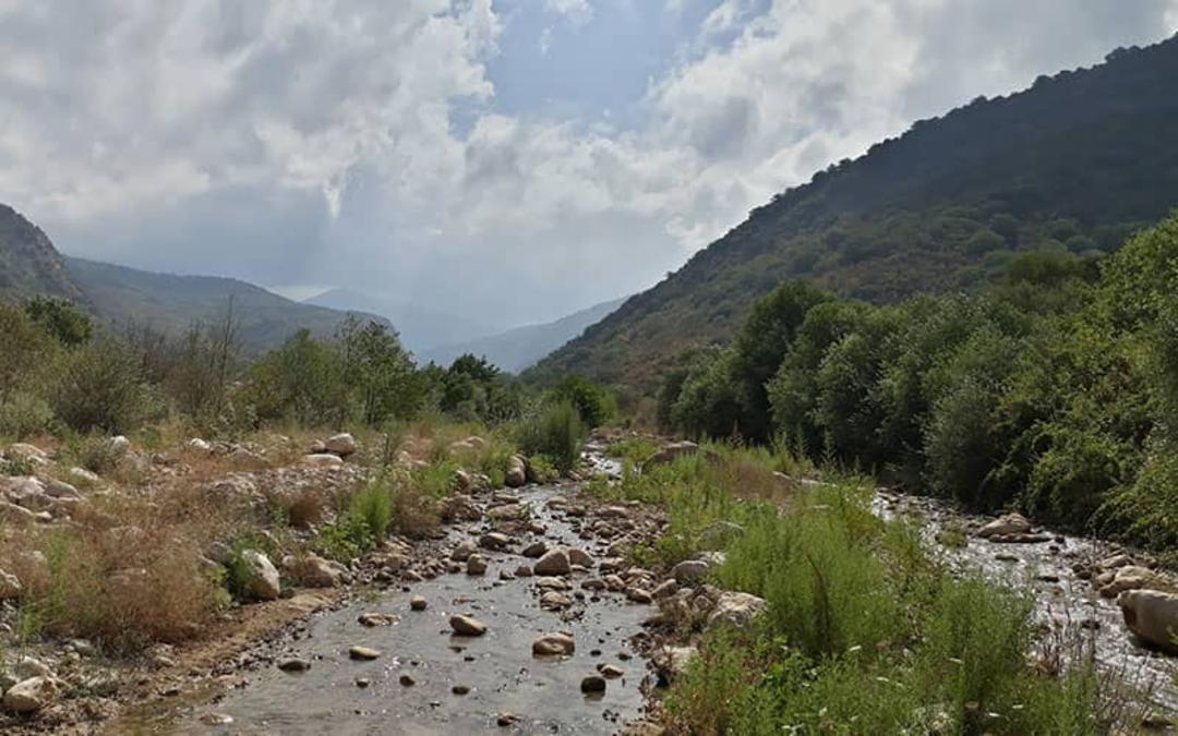 پارک ملی گلستان