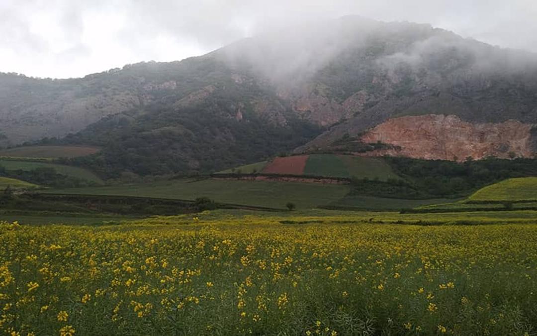 پارک ملی گلستان