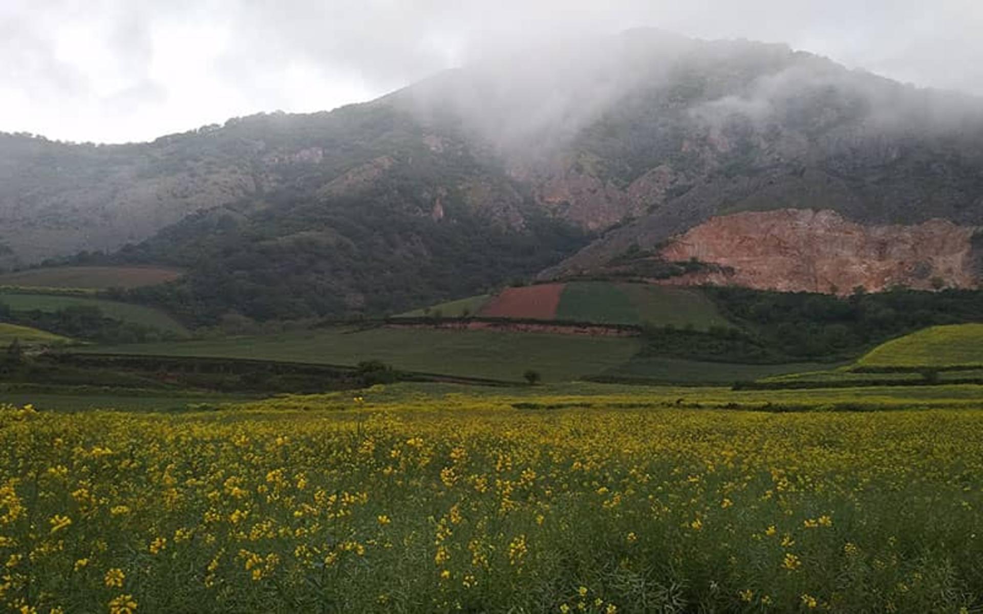 پارک ملی گلستان