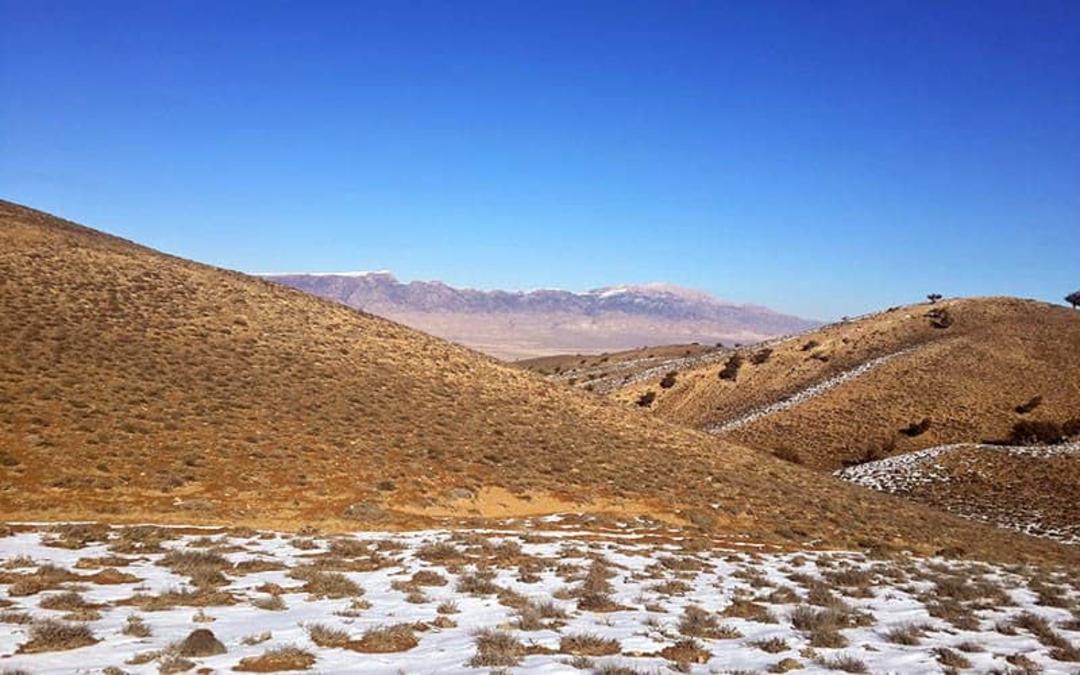پارک ملی گلستان