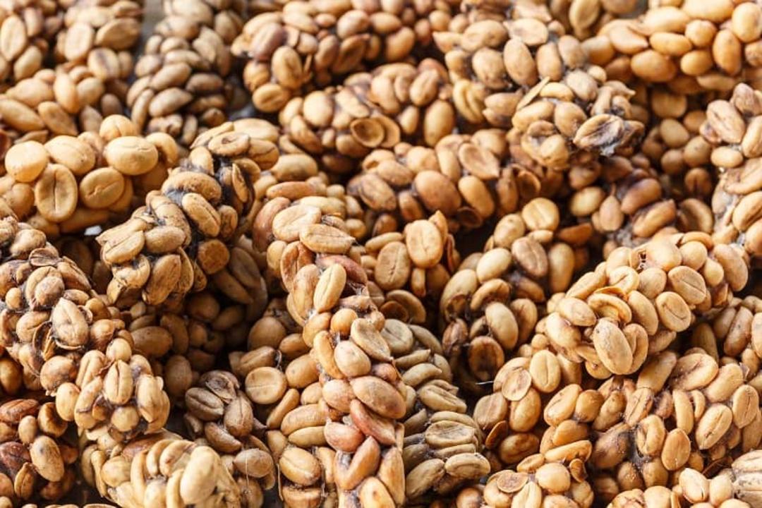 قهوه کوپی لواک