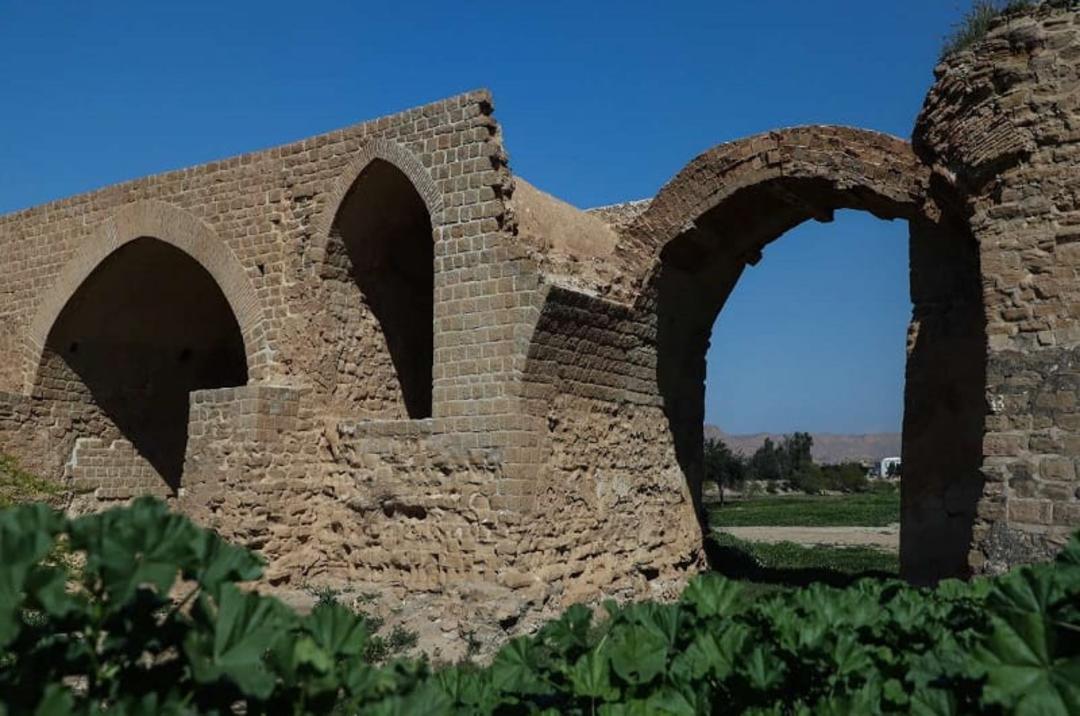 شاد