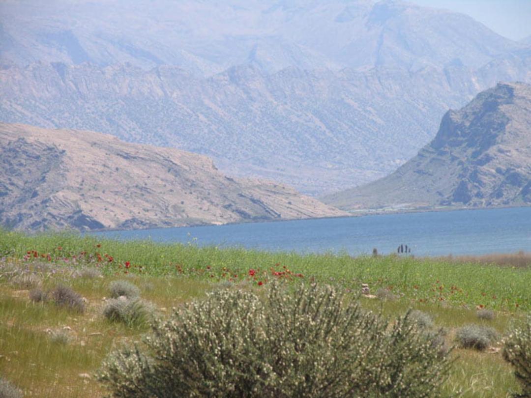 شکوفه های بهاری در جوار دریاچه پریشان در بهار