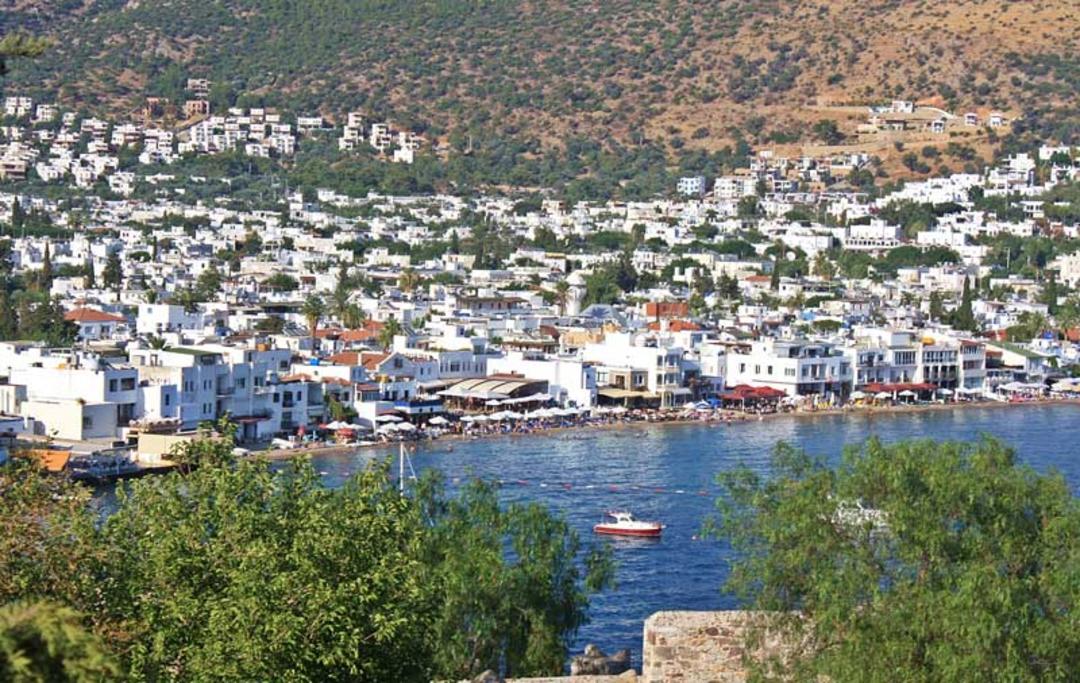 خلیج بارداکچی