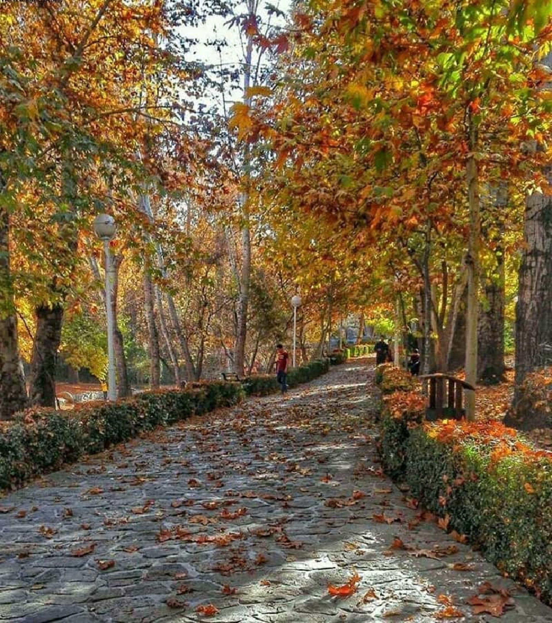 بازدید از پارک وکیل آباد مشهد