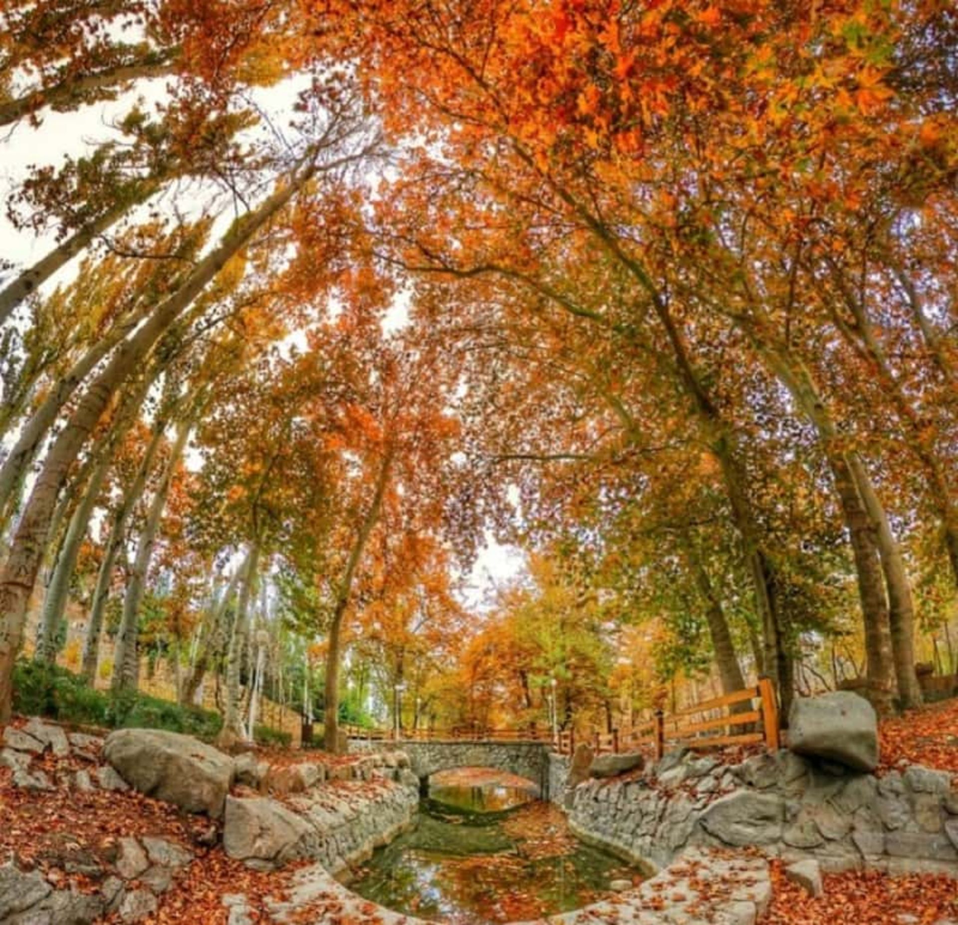 پاییز در پارک وکیل آباد