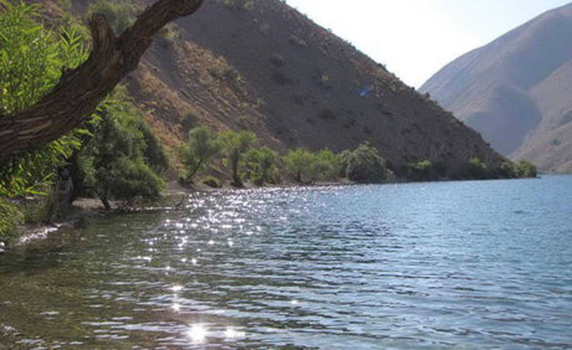 دریاچه پریشان پای کوهستان کنار درخت از نمای نزدیک