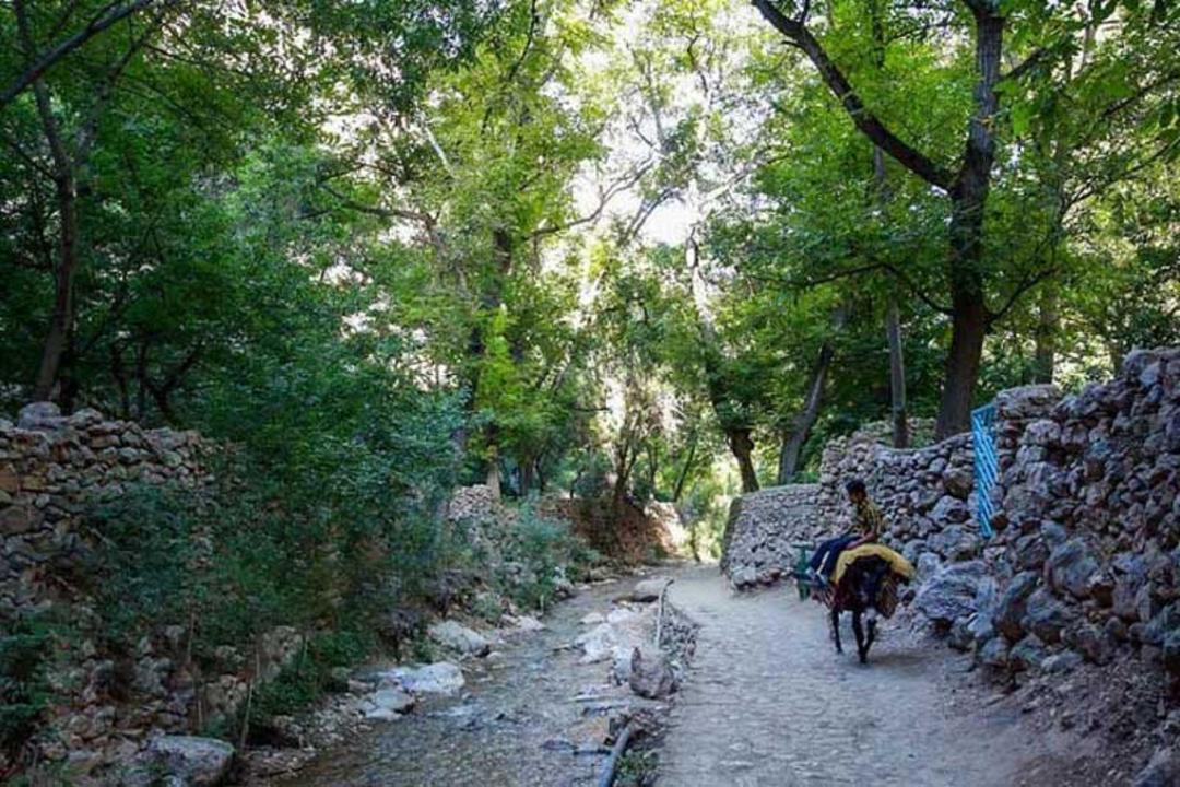 عبور روستایی با قاطر کنار رودخانه اخلمد مشهد