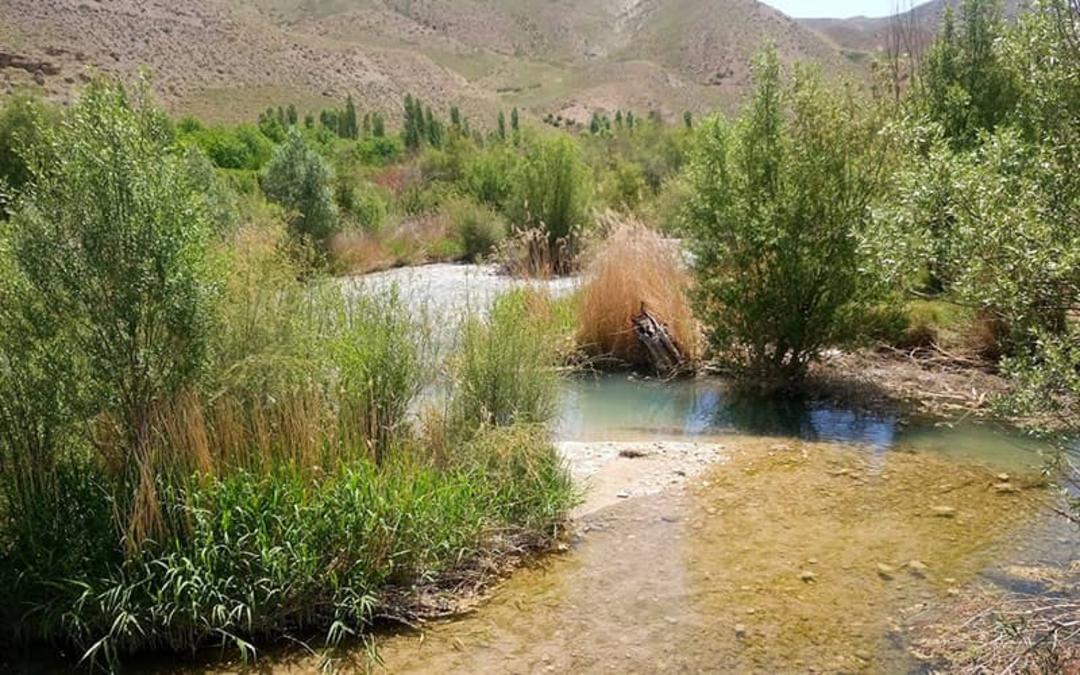منطقه ای سرسبز با رودخانه ای پرآب