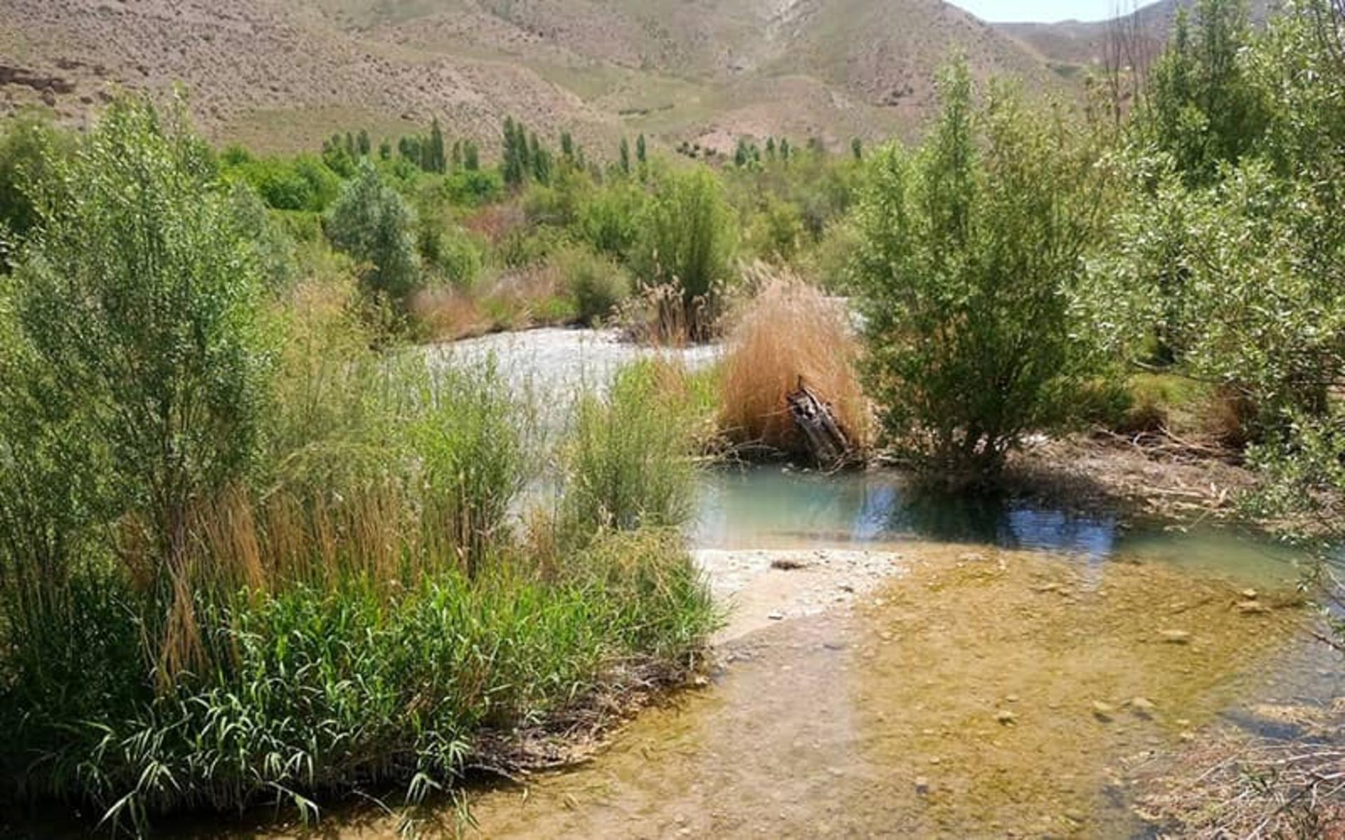 منطقه ای سرسبز با رودخانه ای پرآب