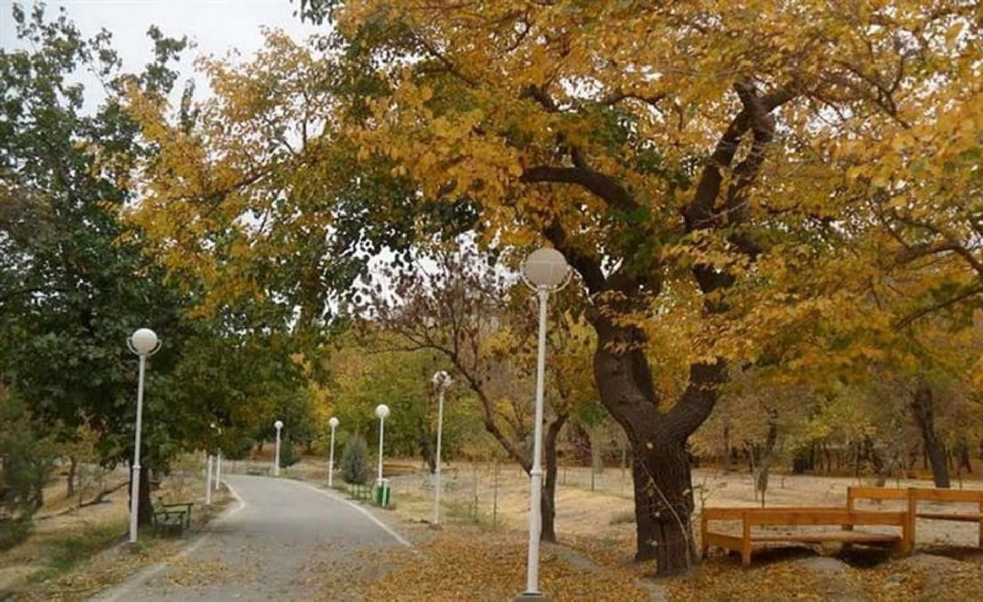 پارک وکیل آباد