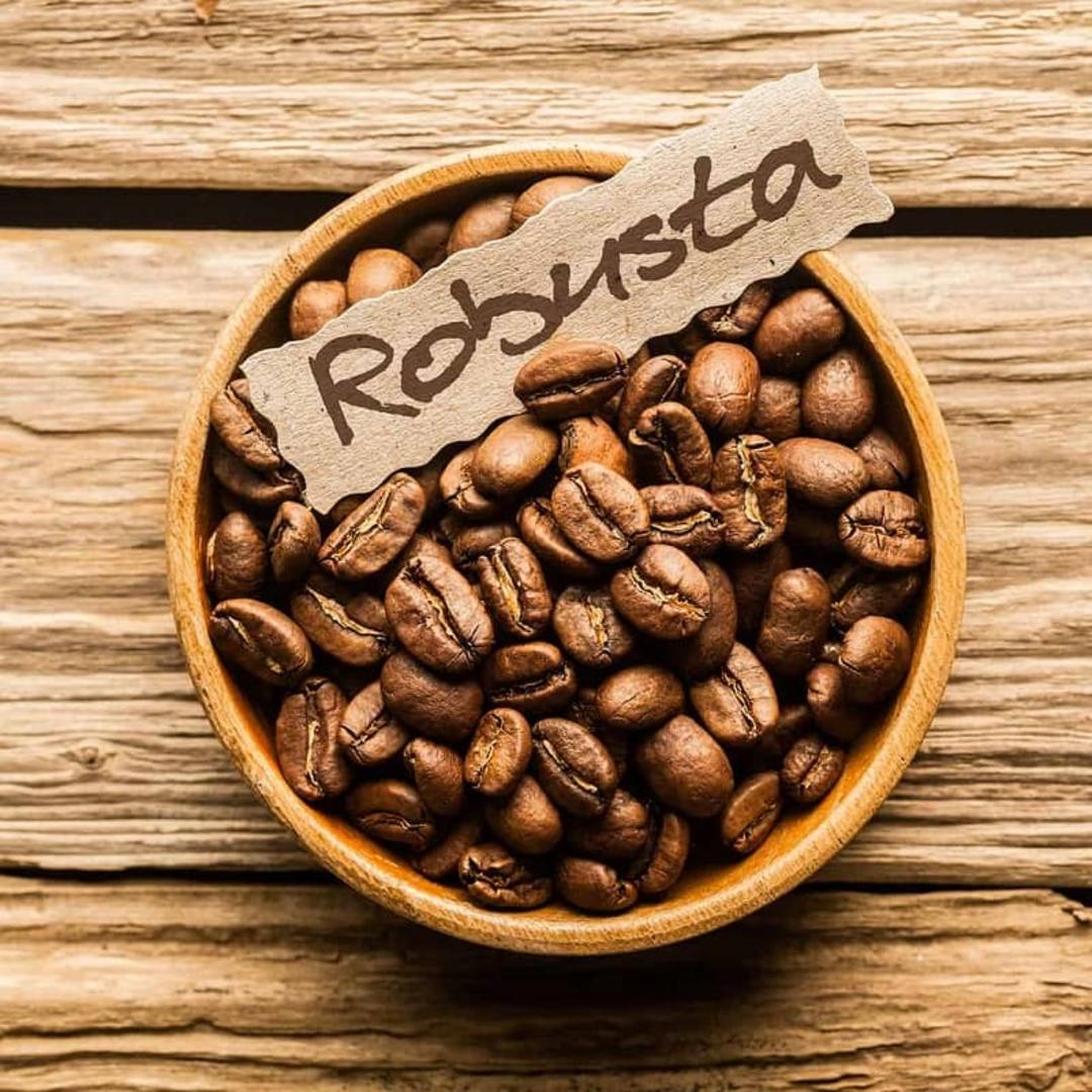 روبوستا
