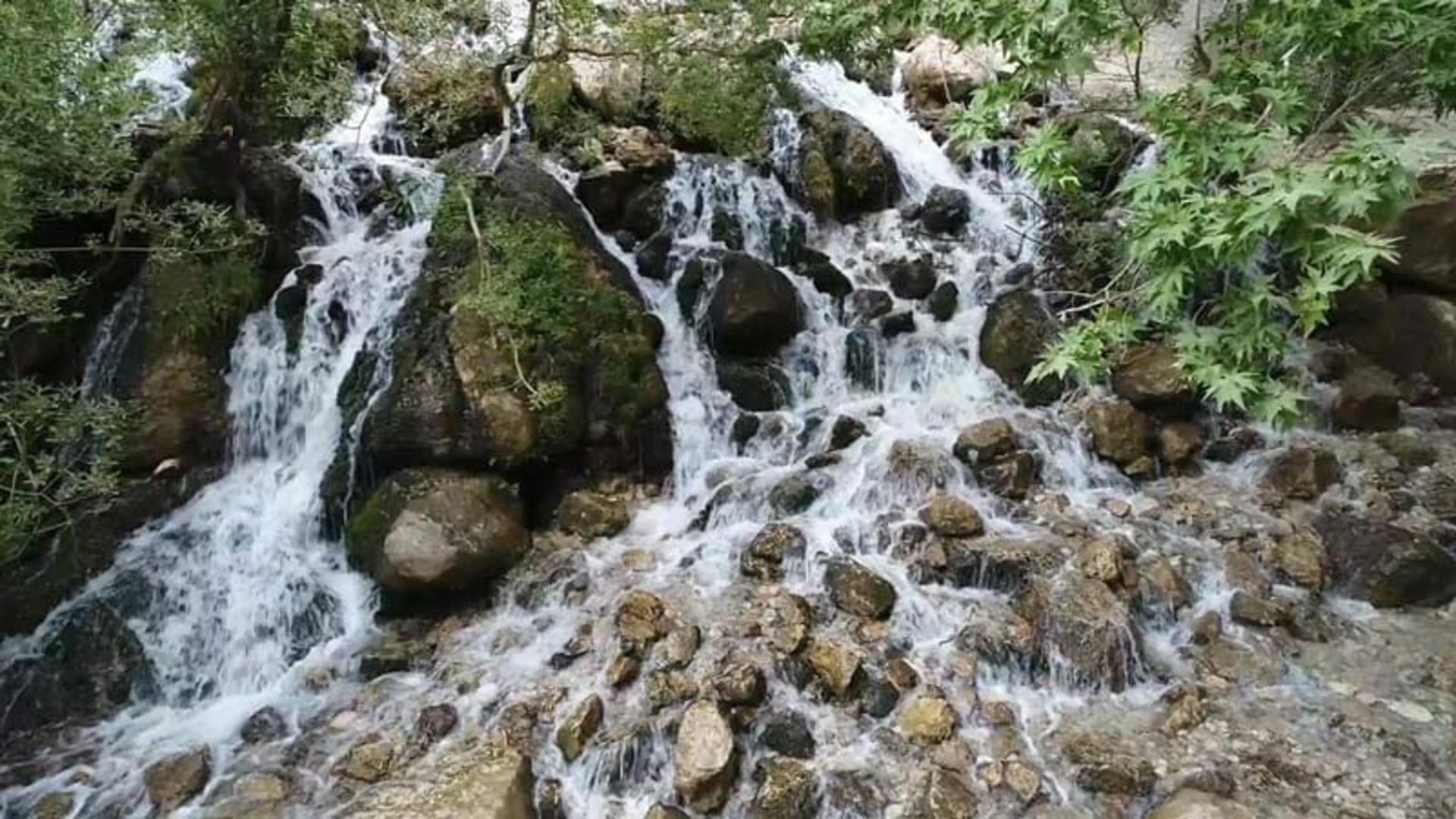 رودخانه خروشان چشمه ناز ونک با سنگ های جلبک گرفته