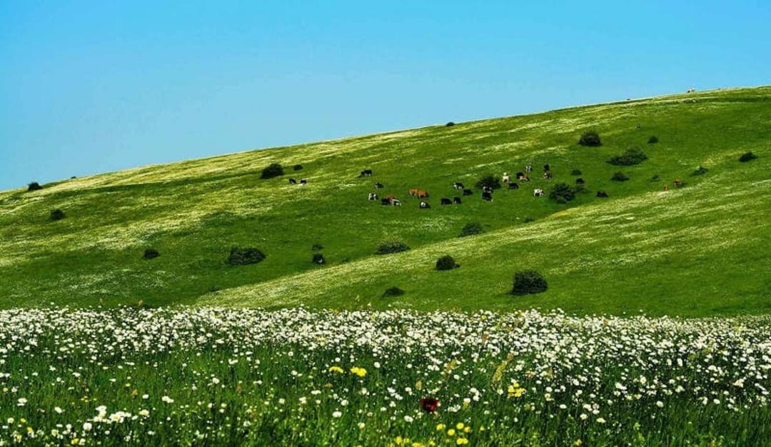 پارک جنگلی فندقلو اردبیل