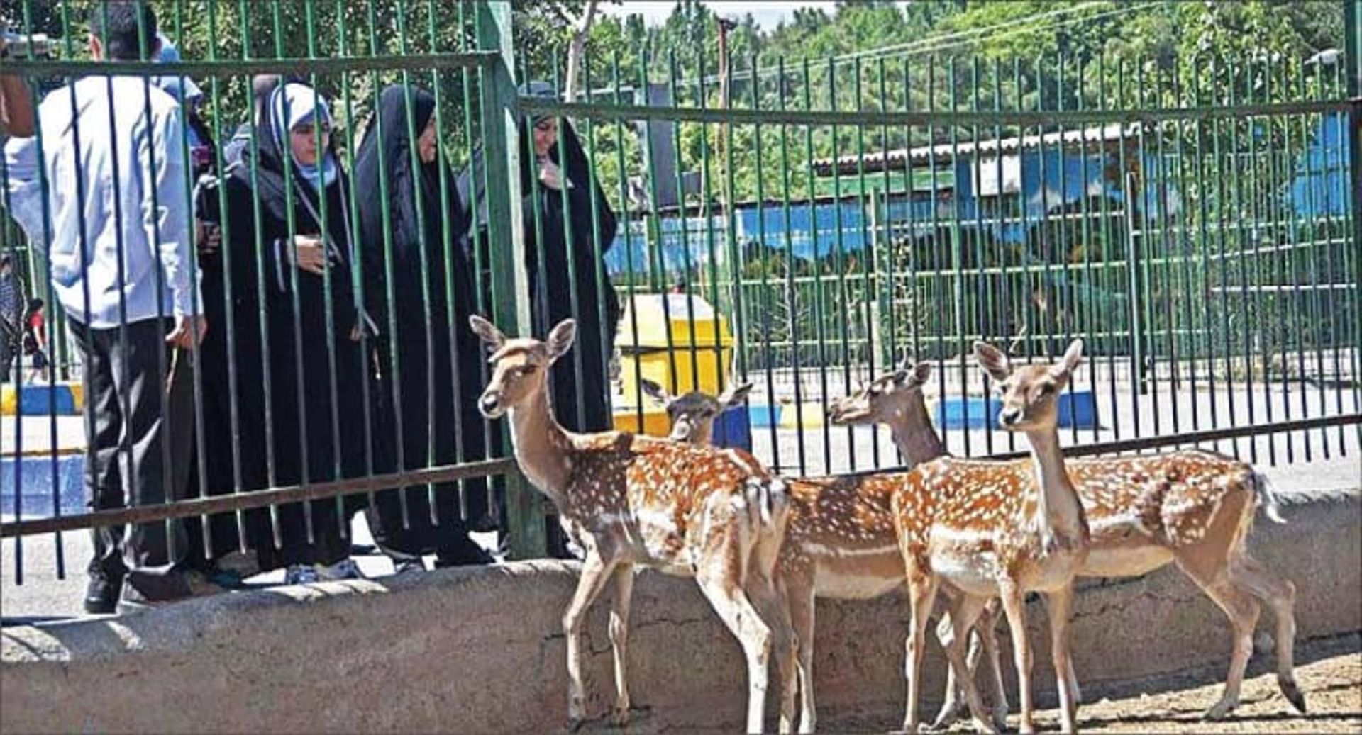 باغ وحش پارک وکیل آباد