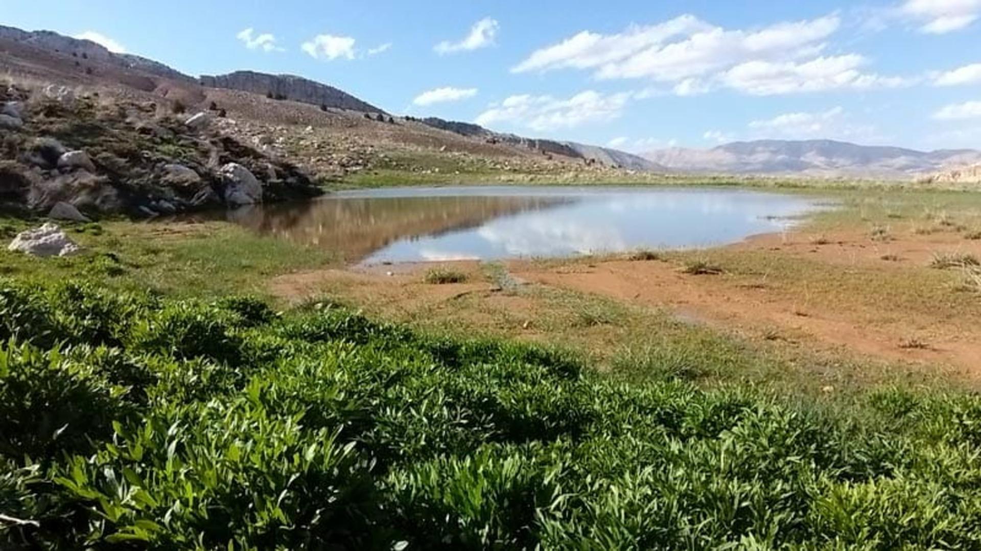 طبیعت زیبا و چشمه در کوهستان و دشت چالقفا سمیرم