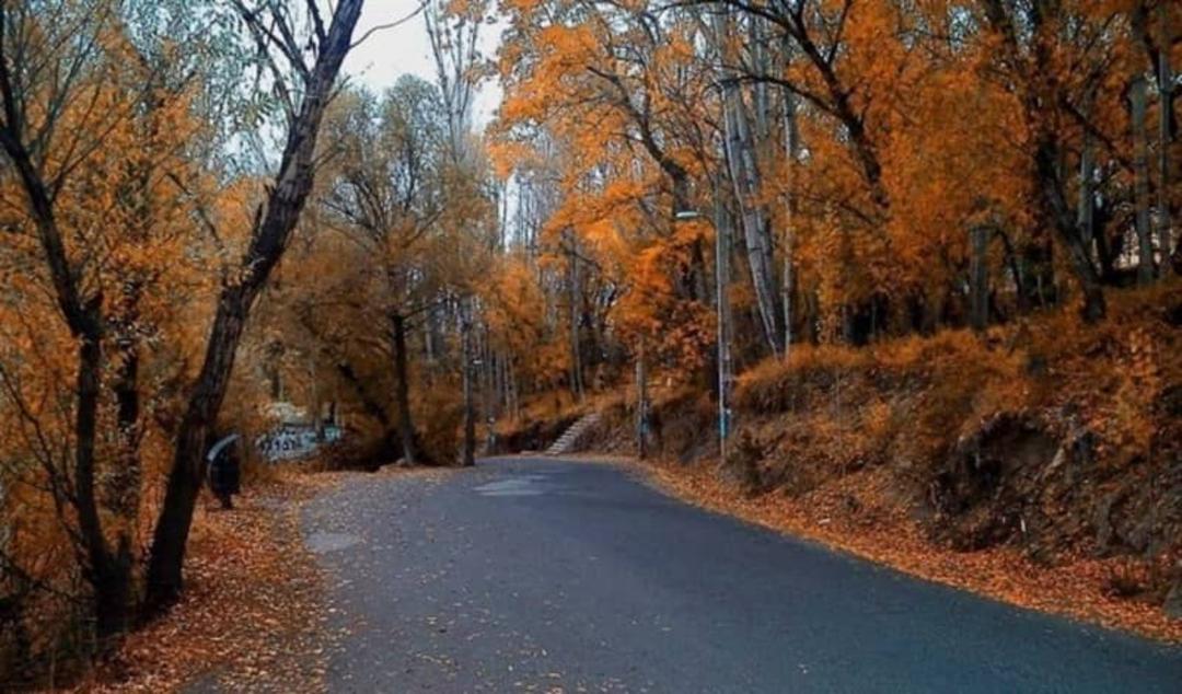 پارک جنگلی خیاو چایی یا مشکین شهر